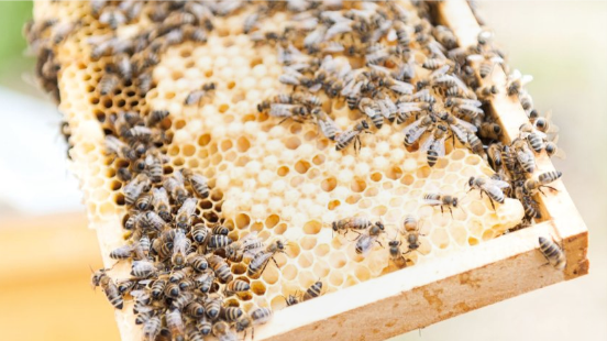 (c) Matthias Hombauer