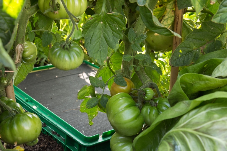 Humusbox, Foto: Alfred Grand