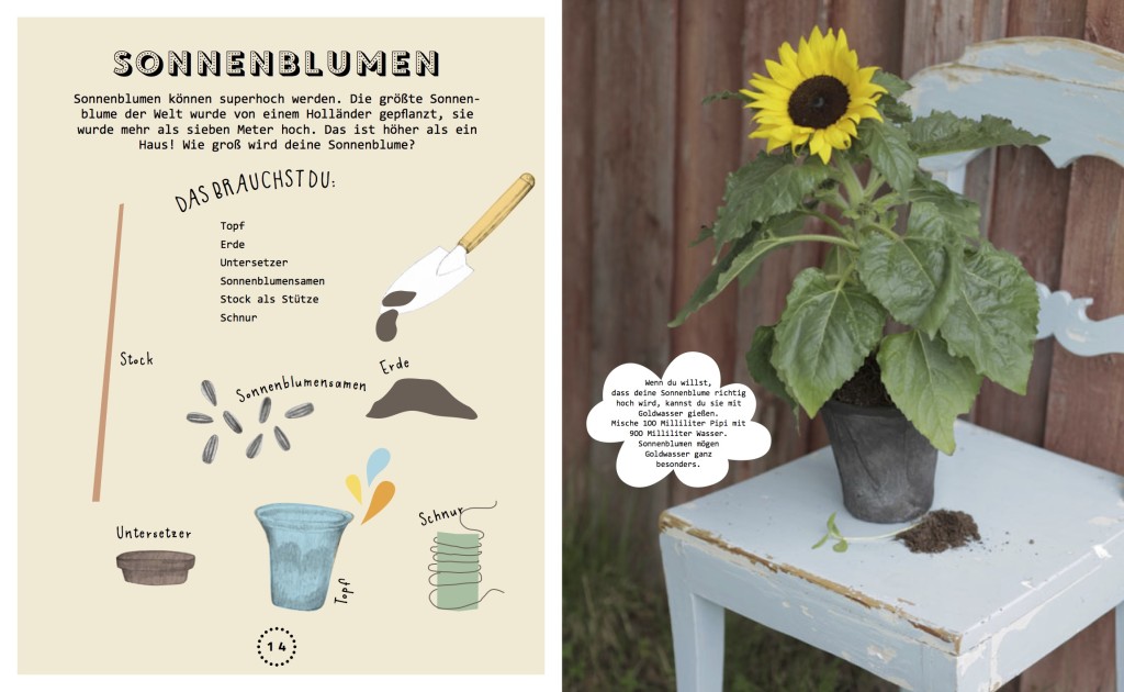 Lass uns was pflanzen innen 1