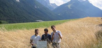 Bio-Getreidefeld m Stubaital_Biovomberg