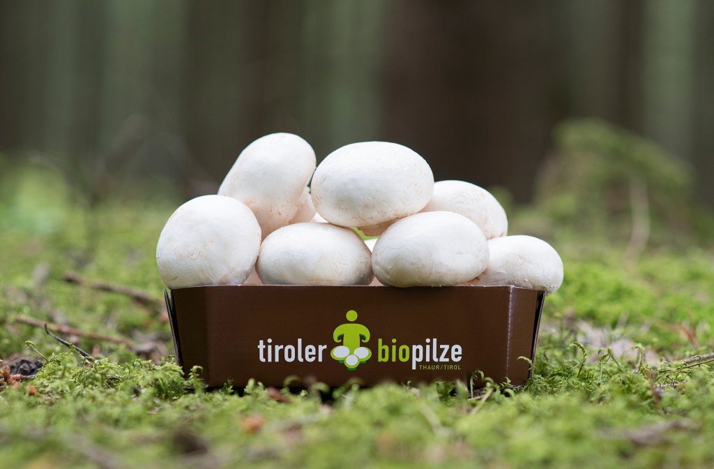 TirolerBiopilze2