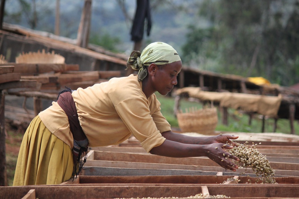 Bild: flickr.com/counterculturecoffee/CC BY-NC-ND 2.0