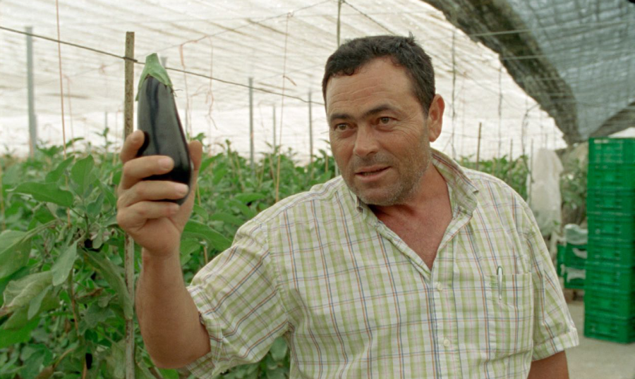 Bild: Screenshot von "San Agustin"