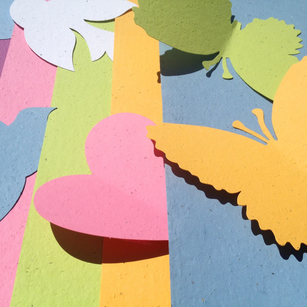 buntes saatgutpapier