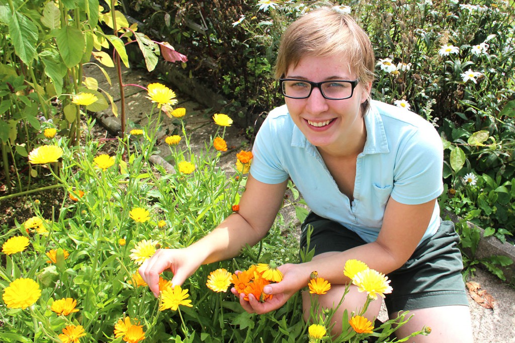 Monika beim Tee ernten