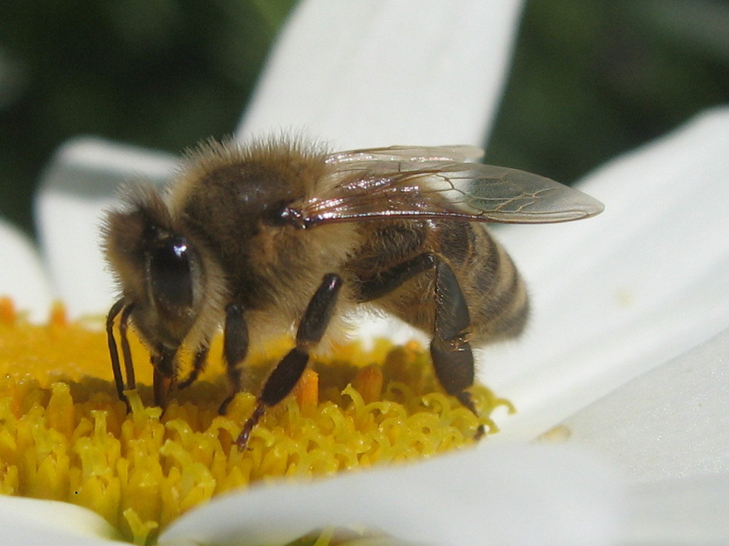 Bild: flickr, Michael Bumann, CC BY 2.0