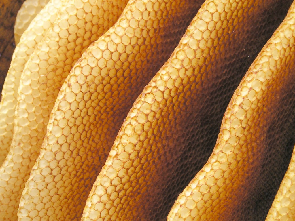 Bild: Flickr, Maja Dumat, CC BY 2.0