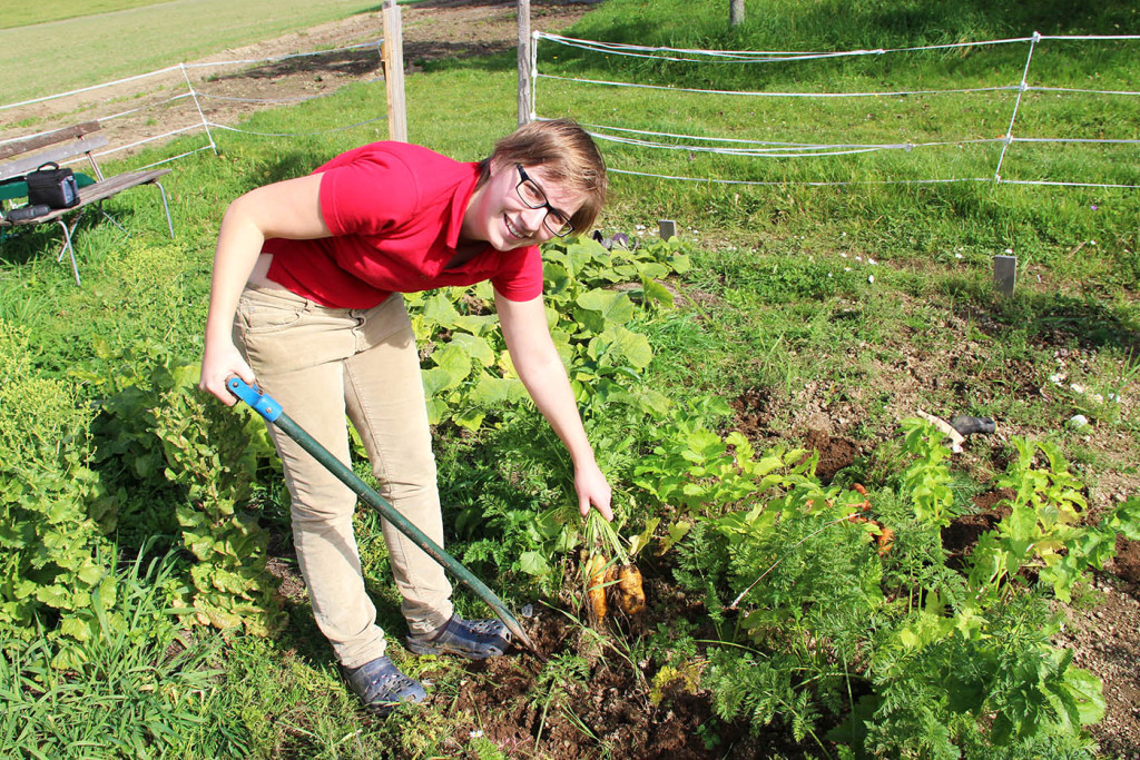 Blog 17_eigene Versorgung