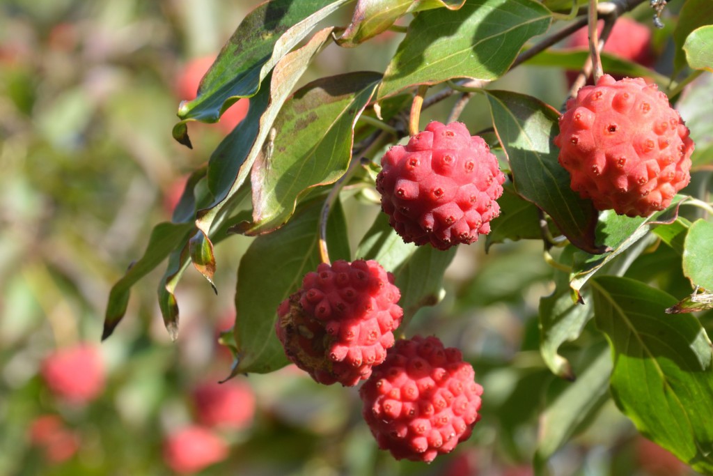 Bild: Paul Wishart - 123 RF