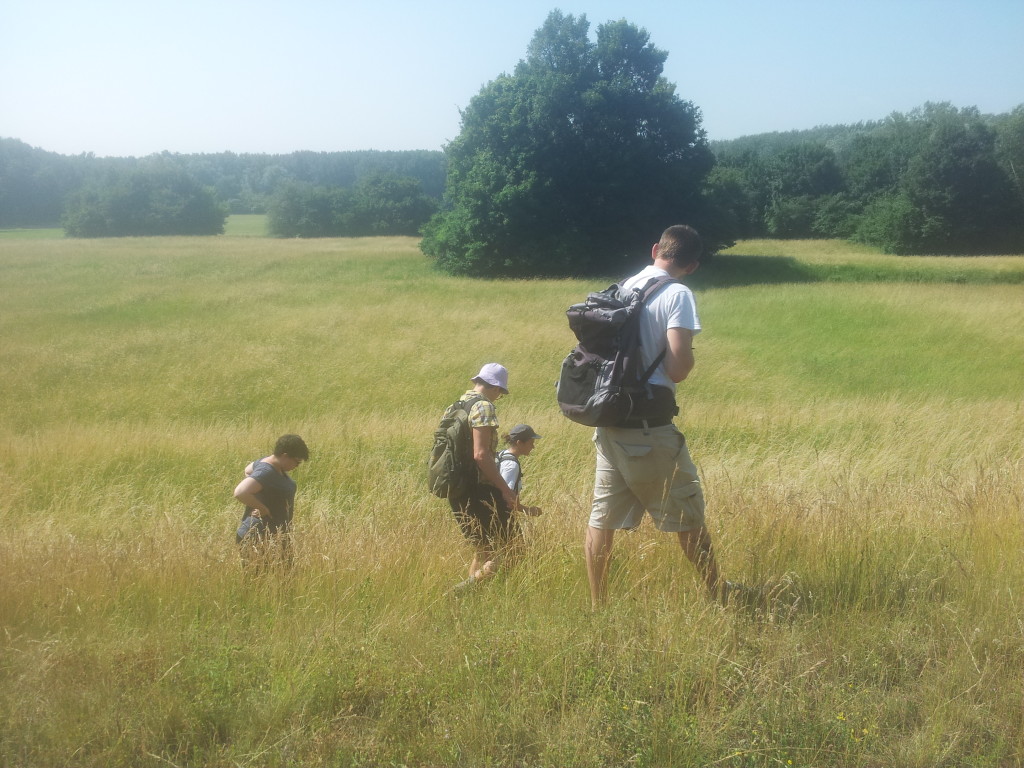 Am Rande des Marchfeldschutzdamms legen die Schildkröten ihre Eier ab.