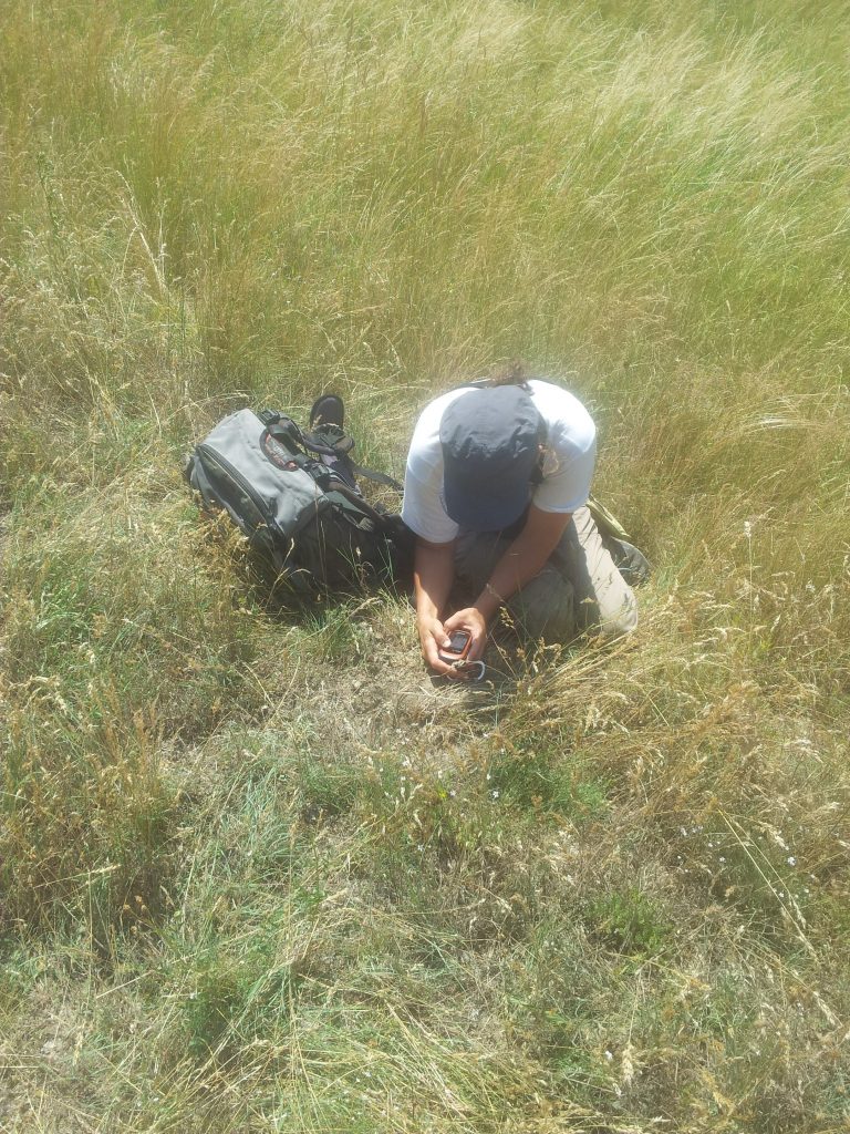 Ist ein Schildkröten-Gelege gefunden, wird es wissenschaftlich dokumentiert und kartiert.