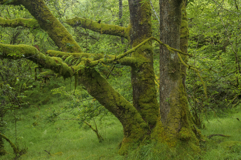 Bild: Matthias Schickhofer