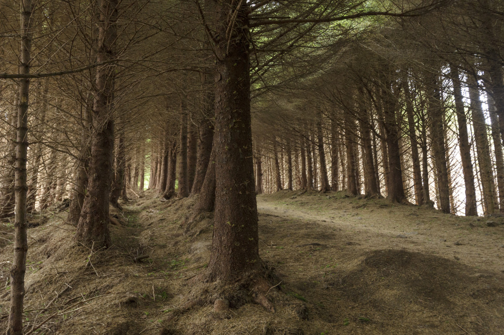 Bild: Matthias Schickhofer