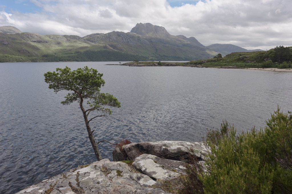 Bild: Matthias Schickhofer