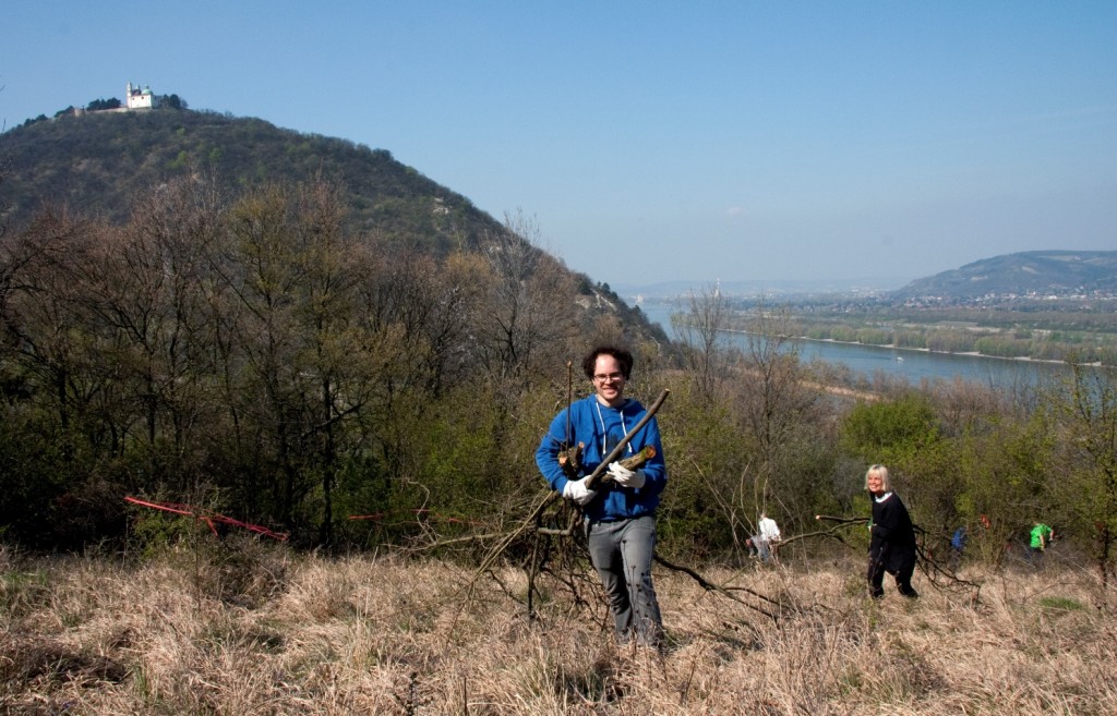 Freiwillige am Werk: Gemeinsam werden die ökologisch wertvollen Trockenrasenflächen freigehalten