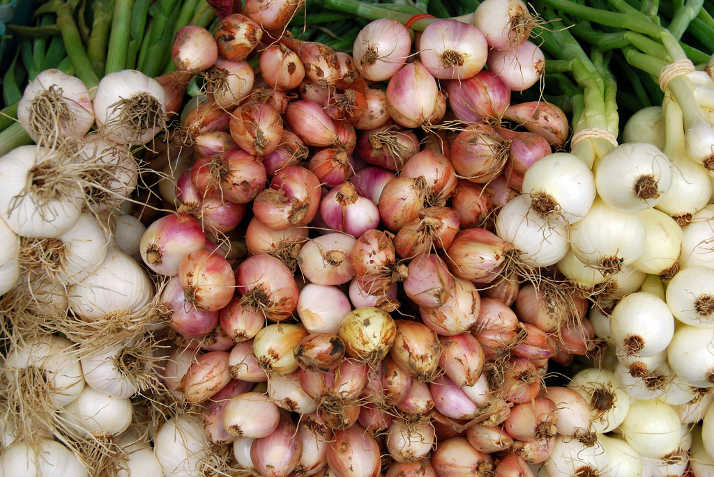 Bild: Flickr, CC BY 2.0, Alice Hanneman