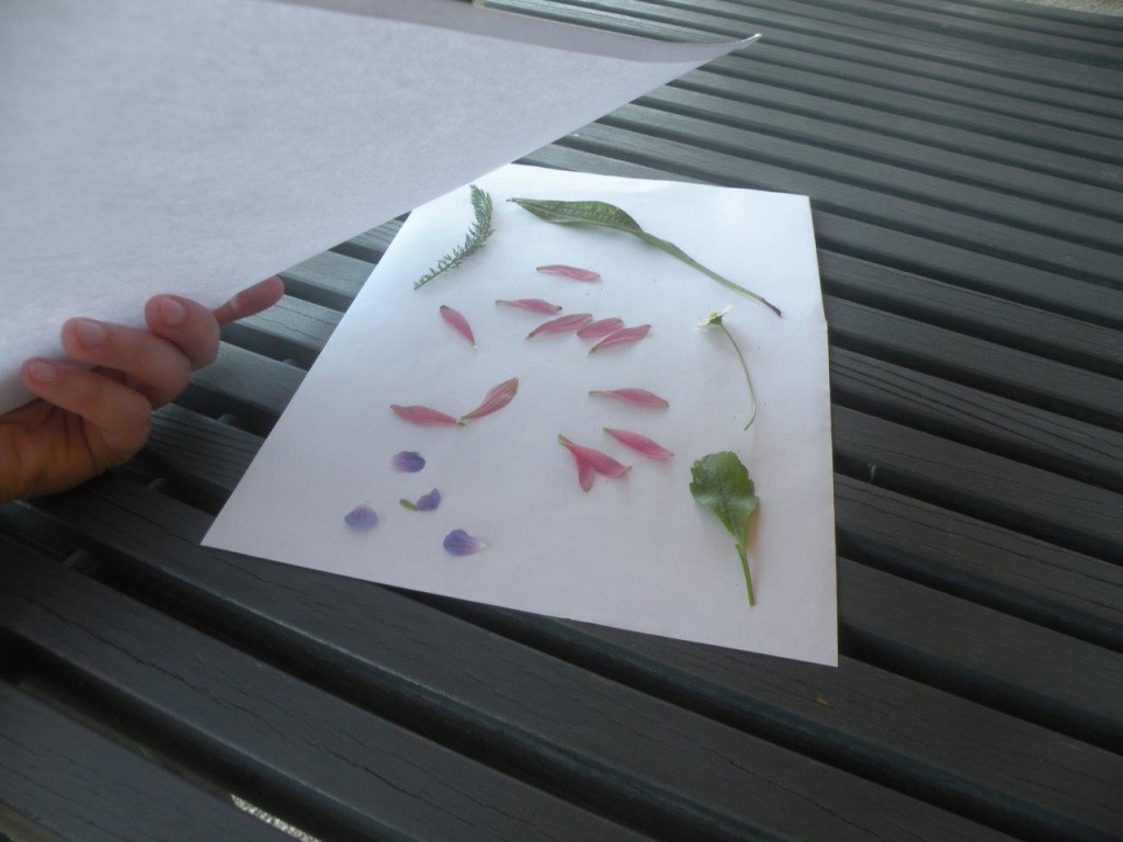 (c) Barbara Schrattenholzer