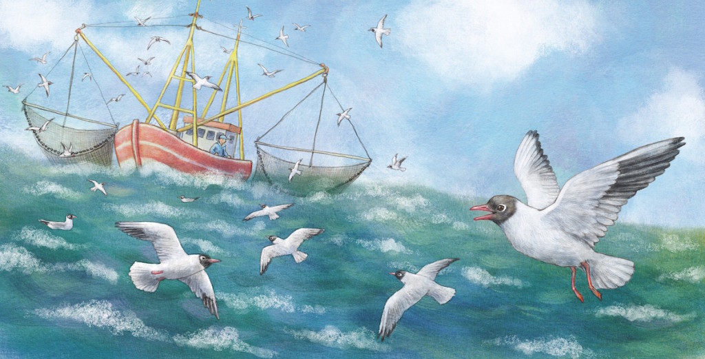 Hör mal Am Meer innen