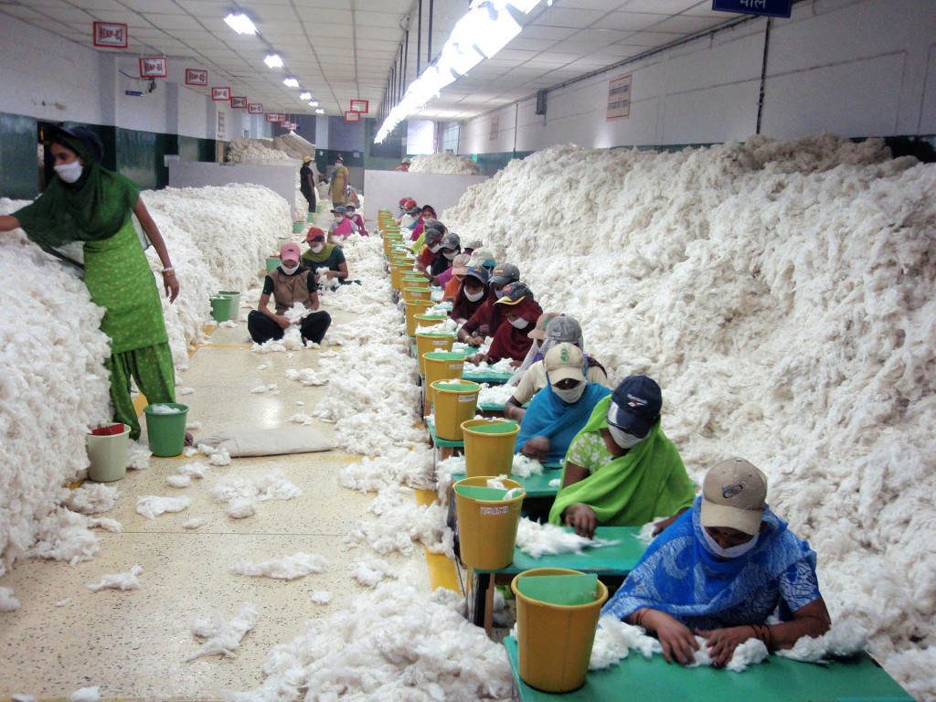 CSIRO_ScienceImage_10736_Manually_decontaminating_cotton_before_processing_at_an_Indian_spinning_mill