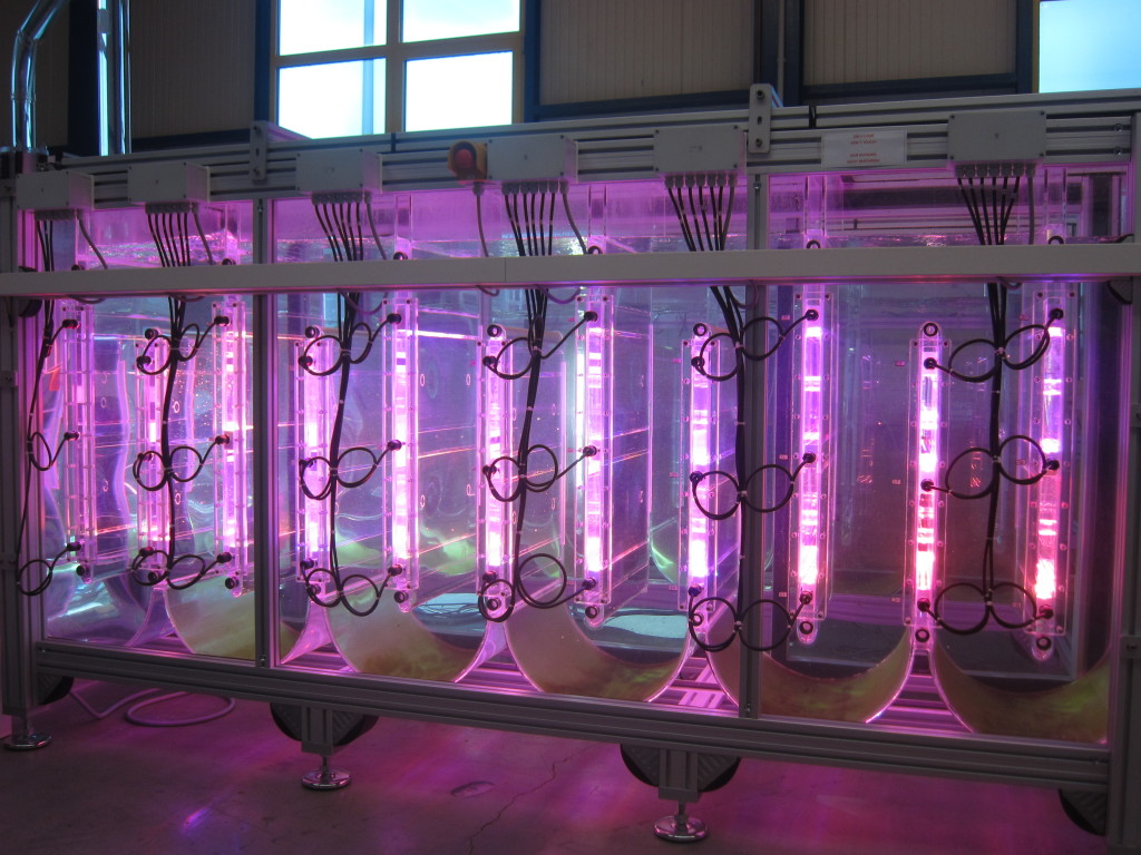 ap_header-005-original