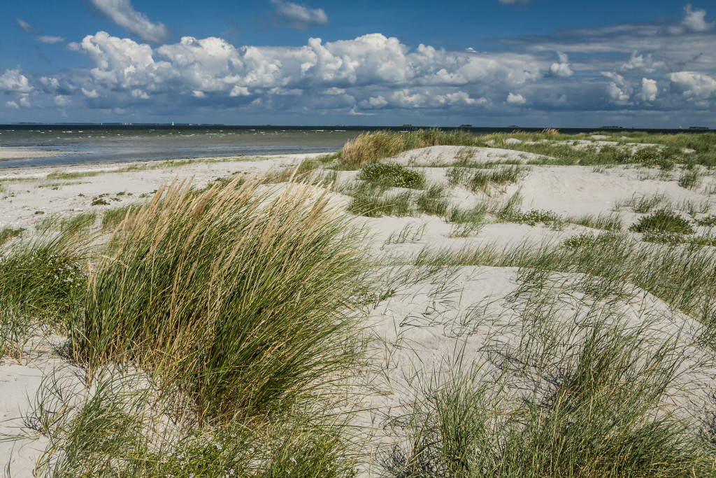 Der LKN-SH unterstützt die redaktionelle Berichterstattung über Themen, die in seine Zuständigkeit fallen, durch Bereitstellung von Bildern für Presseerzeugnisse wie Tageszeitungen, Zeitschriften, Illustrierten sowie die nicht-kommerzielle und nicht-werbliche Nutzung in Broschüren, Büchern oder Internetbeiträgen. Die Berichterstattung bezieht sich auf die Darstellung des Küstenschutzes an Nord- und Ostsee, des Hochwasserschutzes an Flüssen, der Instandhaltung landeseigener Häfen, der Abwehr von Gefahren in diesen Bereichen und anderen Aufgaben des LKN-SH sowie auf die Darstellung des Nationalparks, Biosphärenreservats und Weltnaturerbes Schleswig-Holsteinisches Wattenmeer und auf vom LKN-SH betriebene Informationseinrichtungen.