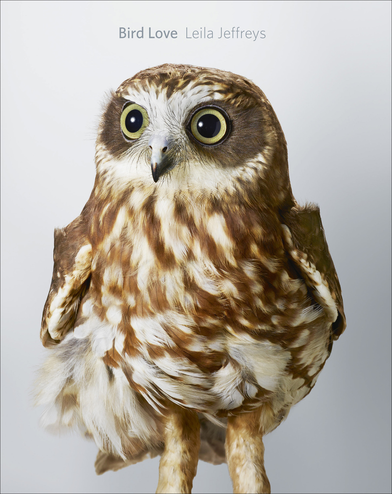 Der Bildband erscheint im Verlag Abrams.