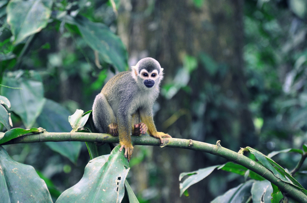 8500503781_b7fc03e759_k