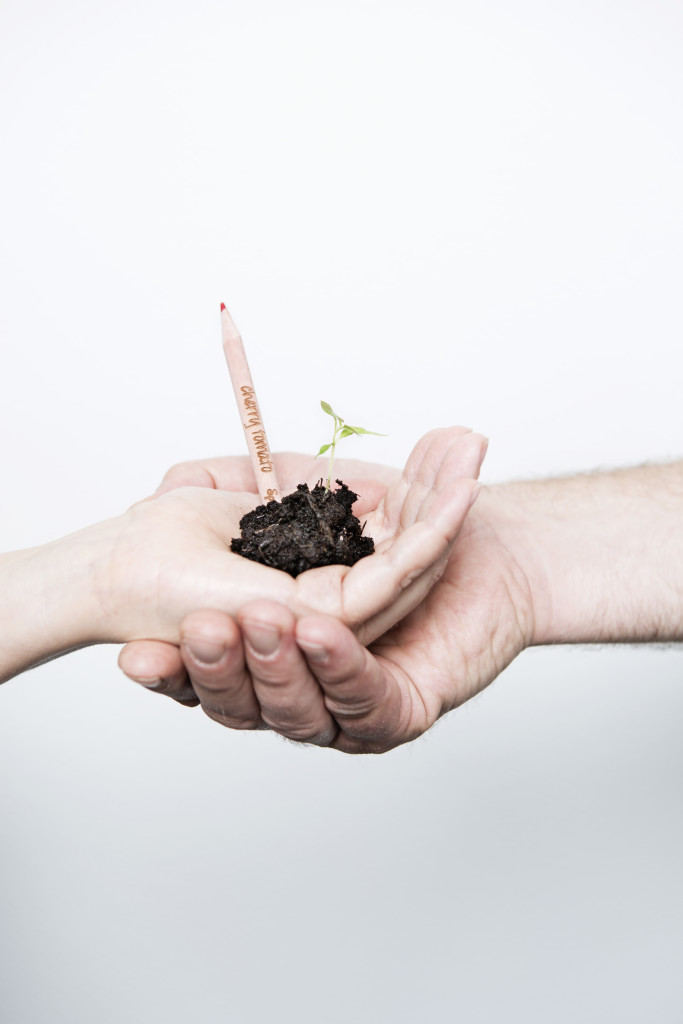 Sprout Europe new3415_highres