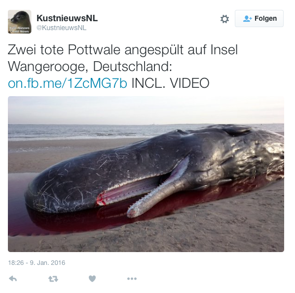 Bildschirmfoto 2016-01-13 um 12.36.38