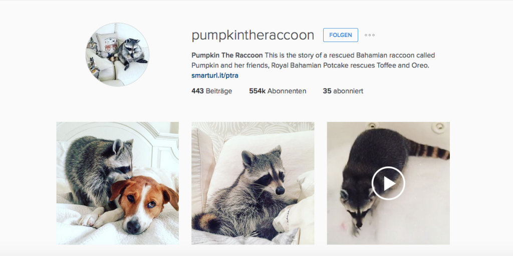 Bildschirmfoto 2016-01-27 um 12.22.10