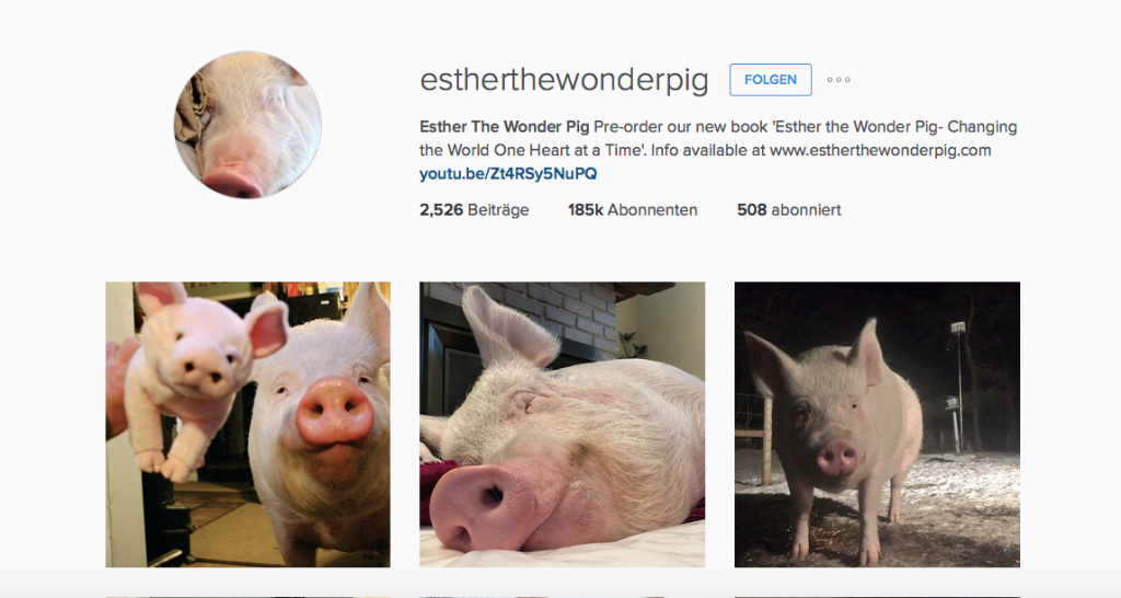 Bildschirmfoto 2016-01-27 um 12.28.04