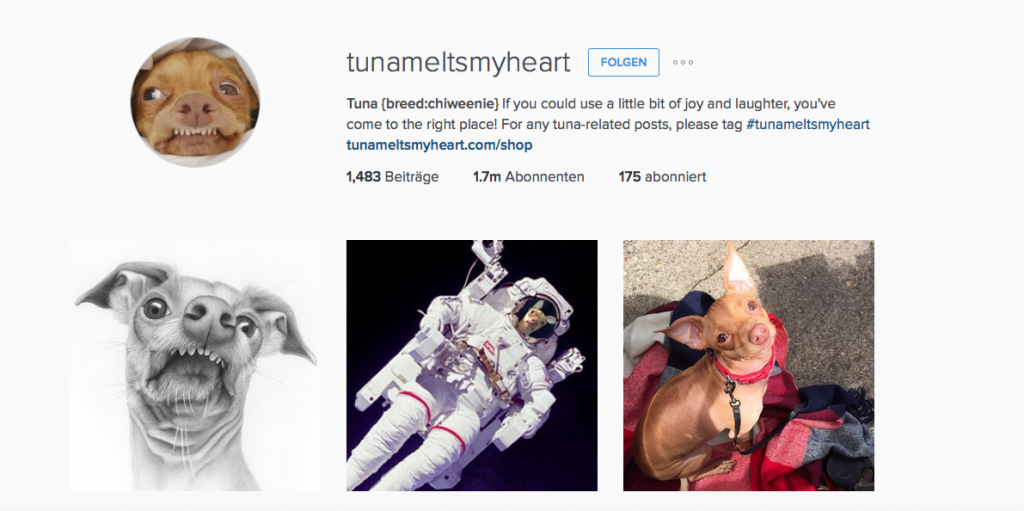 Bildschirmfoto 2016-01-27 um 14.28.42