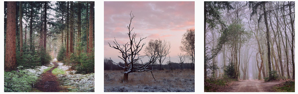 Bildschirmfoto 2016-01-28 um 15.40.58