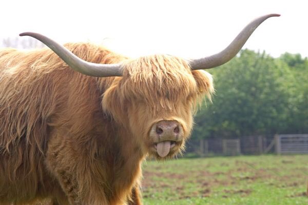 CcdliW0XIAAubBo.jpg-large