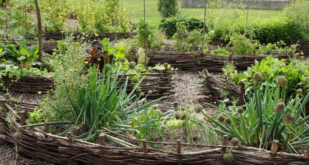 City_Farm_Schönbrunn