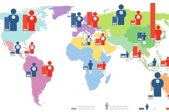 Globaler Vergleich des Konsums. Materialverbrauch in absoluten Zahlen und im Pro-Kopf-Verbrauch. Angaben in Tonnen.