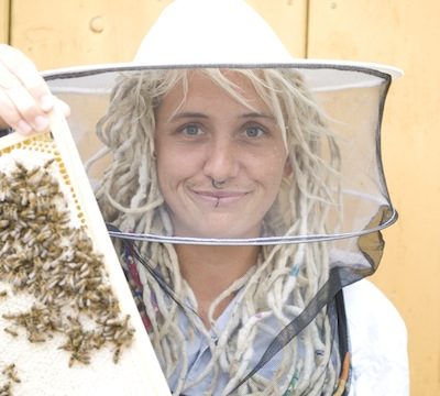 Bienenschwarm Attracture Lure Bienenstock Imkerei Früchte Attraktor Imker
