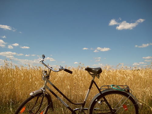 Fahrrad im Feld