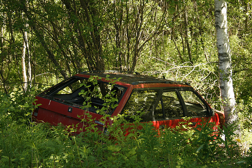 Auto in Natur