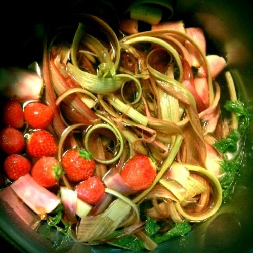 Rhabarbersirup, Foto: thx4cooking