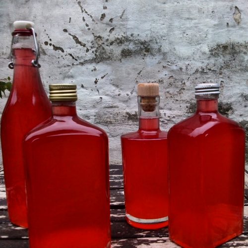 Rhabarbersirup Foto: thx4cooking