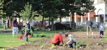 Urbanes Wildern BIORAMA