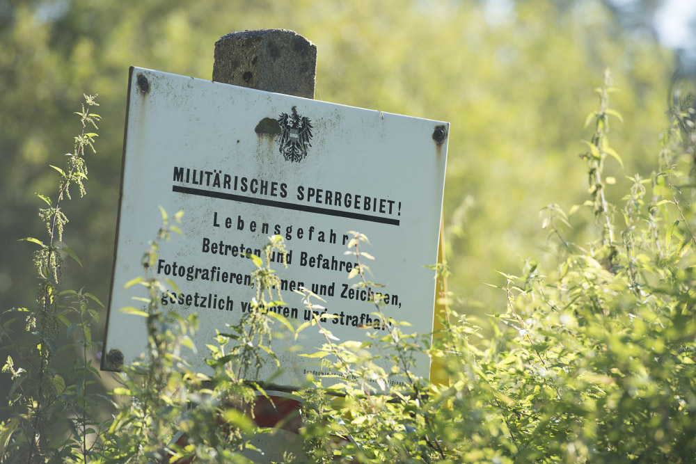 Ein großer Teil des 15000 Hektar großen Militärübungsplatzes in Allentsteig ist wegen Blindgängern und Munitionsschrott nicht bewirtschaftbar und verwildert. Das Gebiet ist ein Sperrgebiet, das nur auf einer Landesstrasse befahren werden kann. Auf dem Truppenübungsplatz stehen de Wölfe derzeit unter Heeresschutz. (Foto: Matthias Schickhofer)
