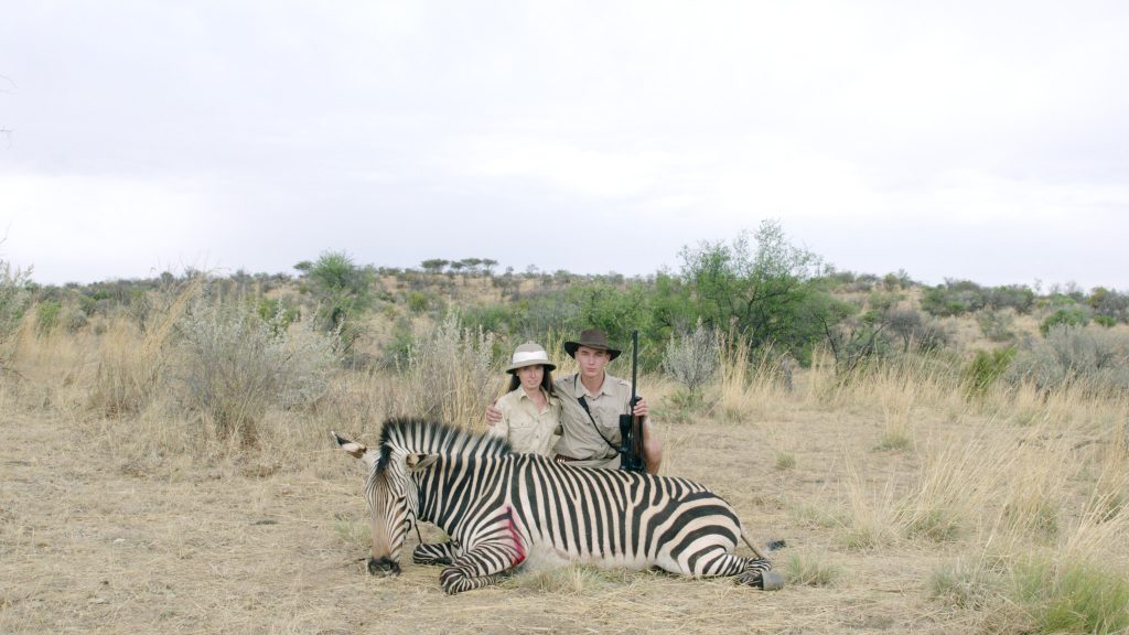 03_safari_1