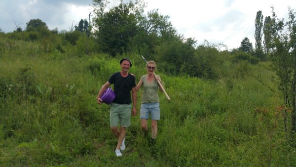 Bosnia grows Organic - noch ein weiter und dorniger Weg