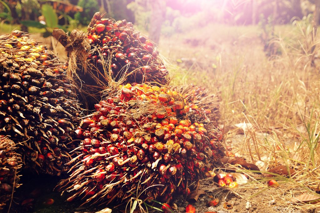 shutterstock_418455622