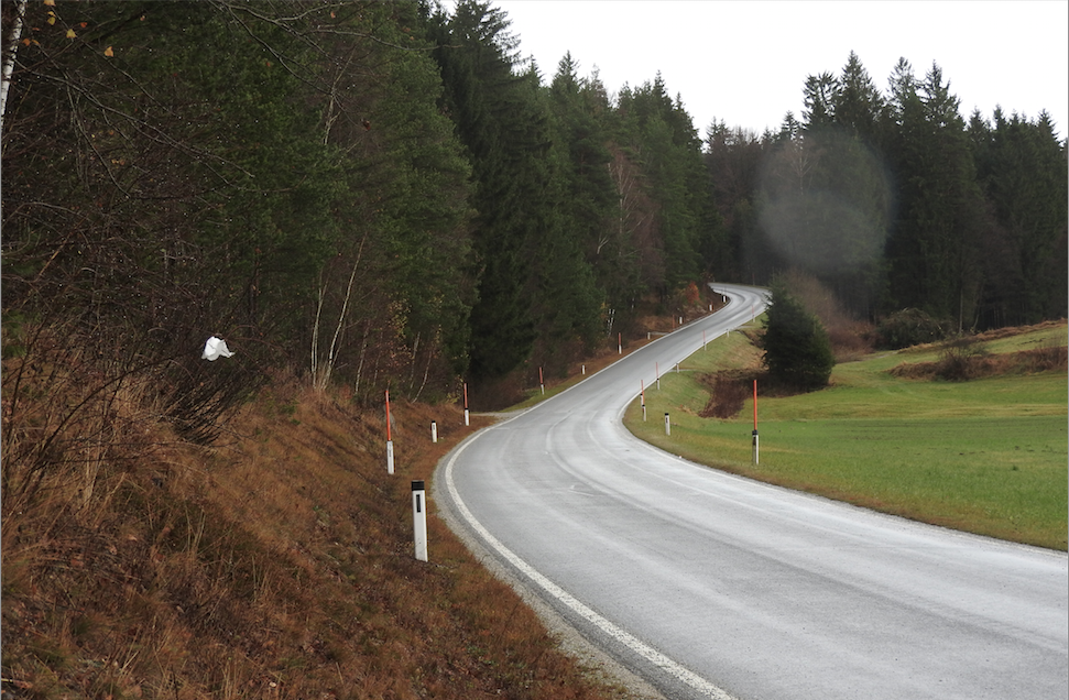 Ebenfalls gut sichtbar: ein im Gebüsch befestigtes Taschentuch. Im Idealfall wird es mit einem Gummiring, einem Haarband oder einer Spange fixiert. (Foto: Erich Hofer)