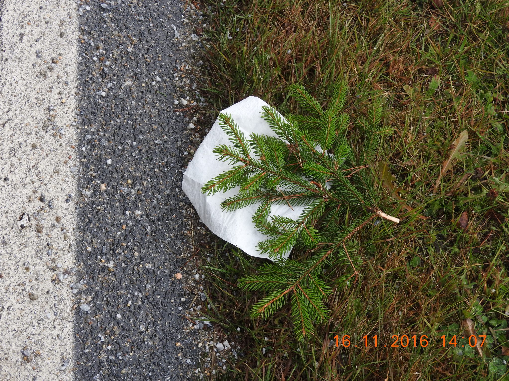 Ein am Straßenrand hinterlassenes Taschentuch ist auch im Dunkeln gut sichtbar. Beschwert mit einem Ast oder einem Stein lässt sich die Stelle, an der ein verletztes Wildtier im Wald oder im Feld verschwunden ist, gut kennzeichnen. Hier kann ein Hund Witterung aufnehmen und es aufspüren. (Foto: Erich Hofer)