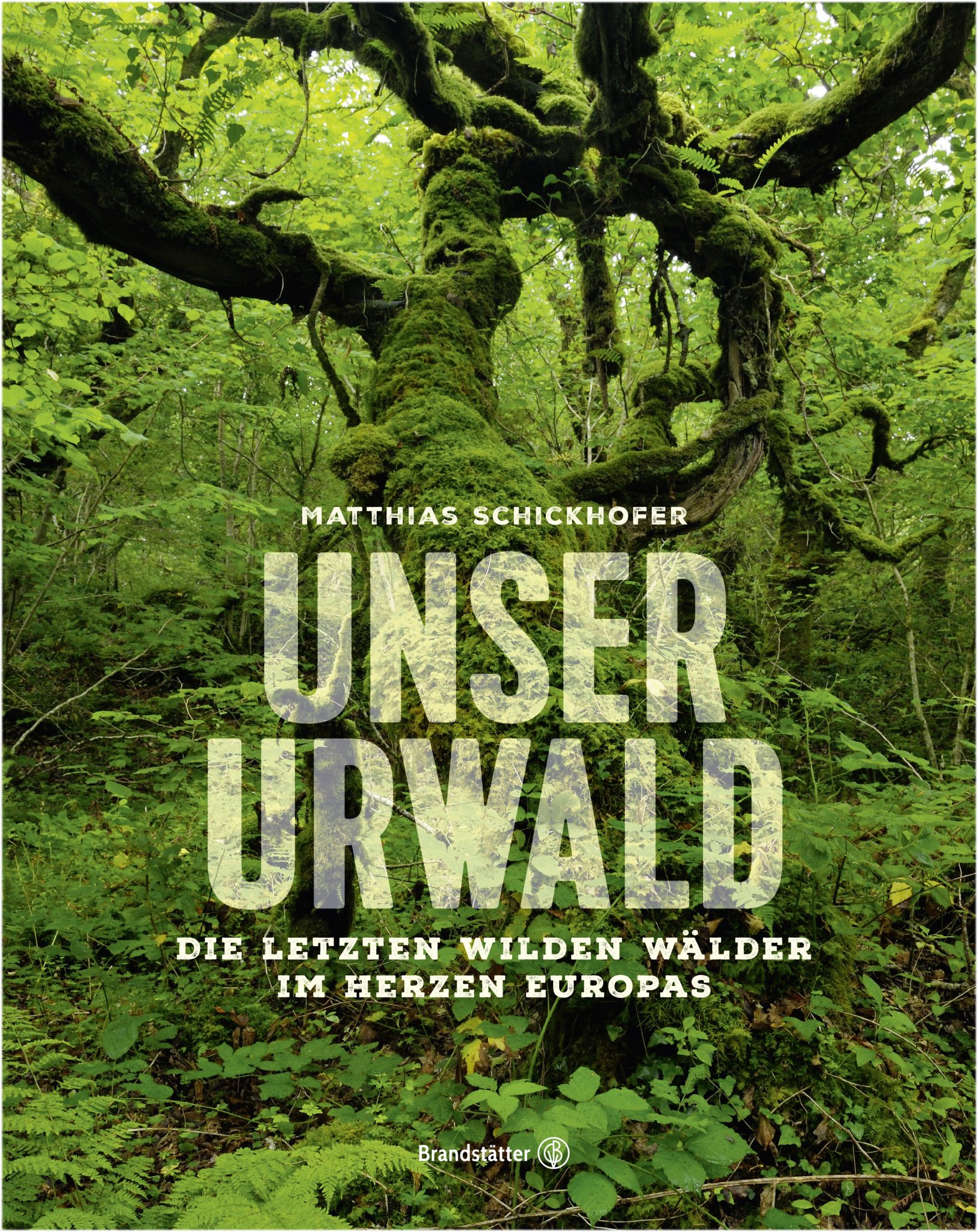 In "Unser Urwald" führt Autor, Umweltschützer und Fotograf Matthias Schickhofer an unbekannte Sehnsuchtsorte. Viele davon in Wochenendreichweite.