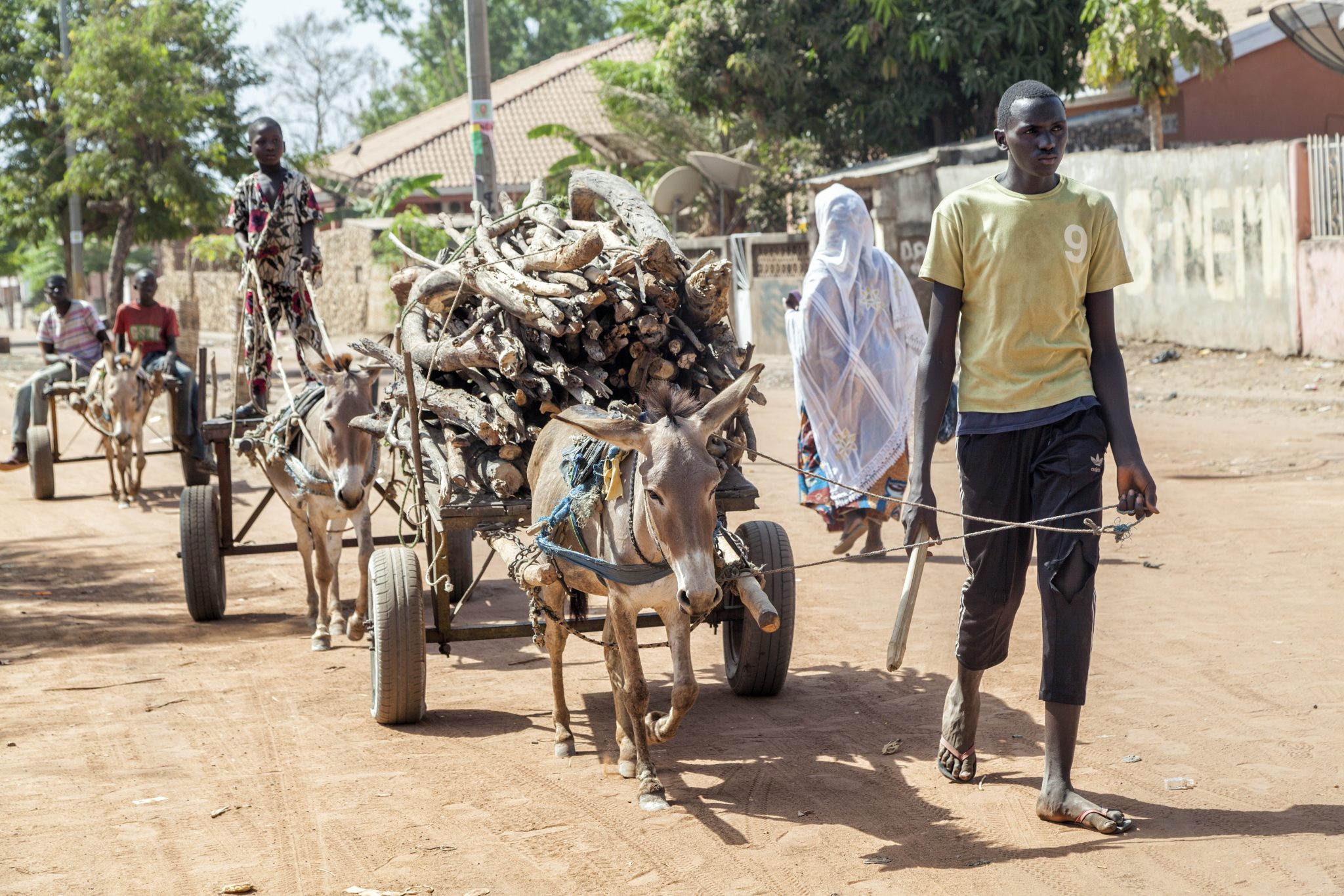 Esel Westafrika Transportmittel